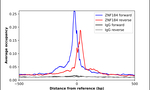 ZNF184 Antibody in ChIP Assay (ChIP)