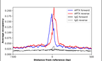 Aprataxin Antibody in ChIP Assay (ChIP)