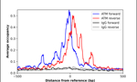 ATM Antibody in ChIP Assay (ChIP)
