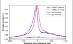 GMEB2 Antibody in ChIP Assay (ChIP)
