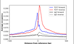 TCF7 Antibody in ChIP Assay (ChIP)
