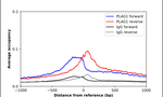 PLAG1 Antibody in ChIP Assay (ChIP)