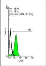 OCT4 Antibody in Flow Cytometry (Flow)