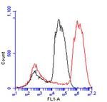 Arginase 1 Antibody in Flow Cytometry (Flow)