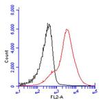 CD45 Antibody in Flow Cytometry (Flow)