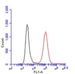 CD45 Antibody in Flow Cytometry (Flow)