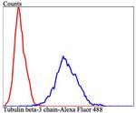 Beta III Tubulin Antibody in Flow Cytometry (Flow)