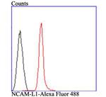 CD171 (L1CAM) Antibody in Flow Cytometry (Flow)