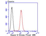 DOPEY2 Antibody in Flow Cytometry (Flow)