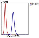 CD54 (ICAM-1) Antibody in Flow Cytometry (Flow)