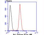 KV1.4 (KCNA4) Antibody in Flow Cytometry (Flow)