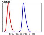 REM2 Antibody in Flow Cytometry (Flow)