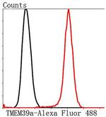 TMEM39A Antibody in Flow Cytometry (Flow)
