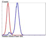 Nestin Antibody in Flow Cytometry (Flow)