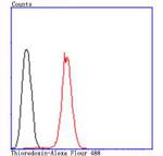 Thioredoxin 1 Antibody in Flow Cytometry (Flow)