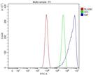 MIF Antibody in Flow Cytometry (Flow)