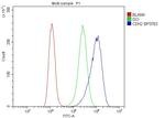 N-cadherin Antibody in Flow Cytometry (Flow)