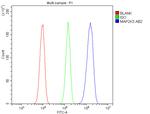 MEK3 Antibody in Flow Cytometry (Flow)