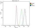 SHP2 Antibody in Flow Cytometry (Flow)