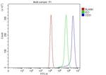 CD31 Antibody in Flow Cytometry (Flow)