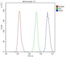 DDX5 Antibody in Flow Cytometry (Flow)