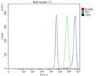 CD31 Antibody in Flow Cytometry (Flow)