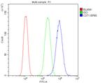 Transferrin Receptor Antibody in Flow Cytometry (Flow)