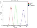 APOE Antibody in Flow Cytometry (Flow)