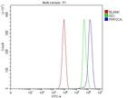 PP2A alpha Antibody in Flow Cytometry (Flow)