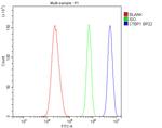 CtBP1 Antibody in Flow Cytometry (Flow)