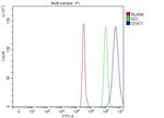 STAT1 Antibody in Flow Cytometry (Flow)