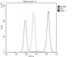 CDK1 Antibody in Flow Cytometry (Flow)