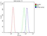 EphB1 Antibody in Flow Cytometry (Flow)
