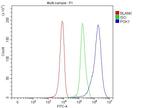 PGK1 Antibody in Flow Cytometry (Flow)