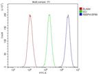 RbAp48 Antibody in Flow Cytometry (Flow)