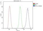 SPTLC1 Antibody in Flow Cytometry (Flow)