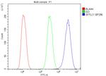 SPTLC1 Antibody in Flow Cytometry (Flow)