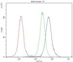 Bcl-X Antibody in Flow Cytometry (Flow)