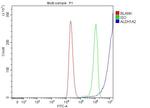 ALDH1A2 Antibody in Flow Cytometry (Flow)
