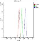 AMACR Antibody in Flow Cytometry (Flow)