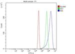 alpha Internexin Antibody in Flow Cytometry (Flow)