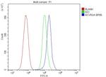 ACVR2A Antibody in Flow Cytometry (Flow)