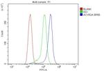 ACVR2A Antibody in Flow Cytometry (Flow)