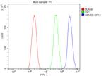 KDM5B Antibody in Flow Cytometry (Flow)