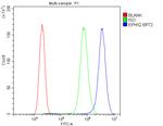 EPHX2 Antibody in Flow Cytometry (Flow)