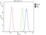 Fibrinogen gamma Antibody in Flow Cytometry (Flow)