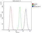 NEDD8 Antibody in Flow Cytometry (Flow)