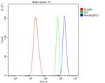 Annexin A8 Antibody in Flow Cytometry (Flow)