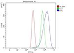 CD105 Antibody in Flow Cytometry (Flow)