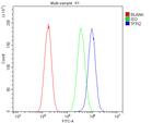 TFPI2 Antibody in Flow Cytometry (Flow)